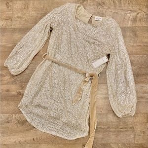 Aura Gold sequin Dress